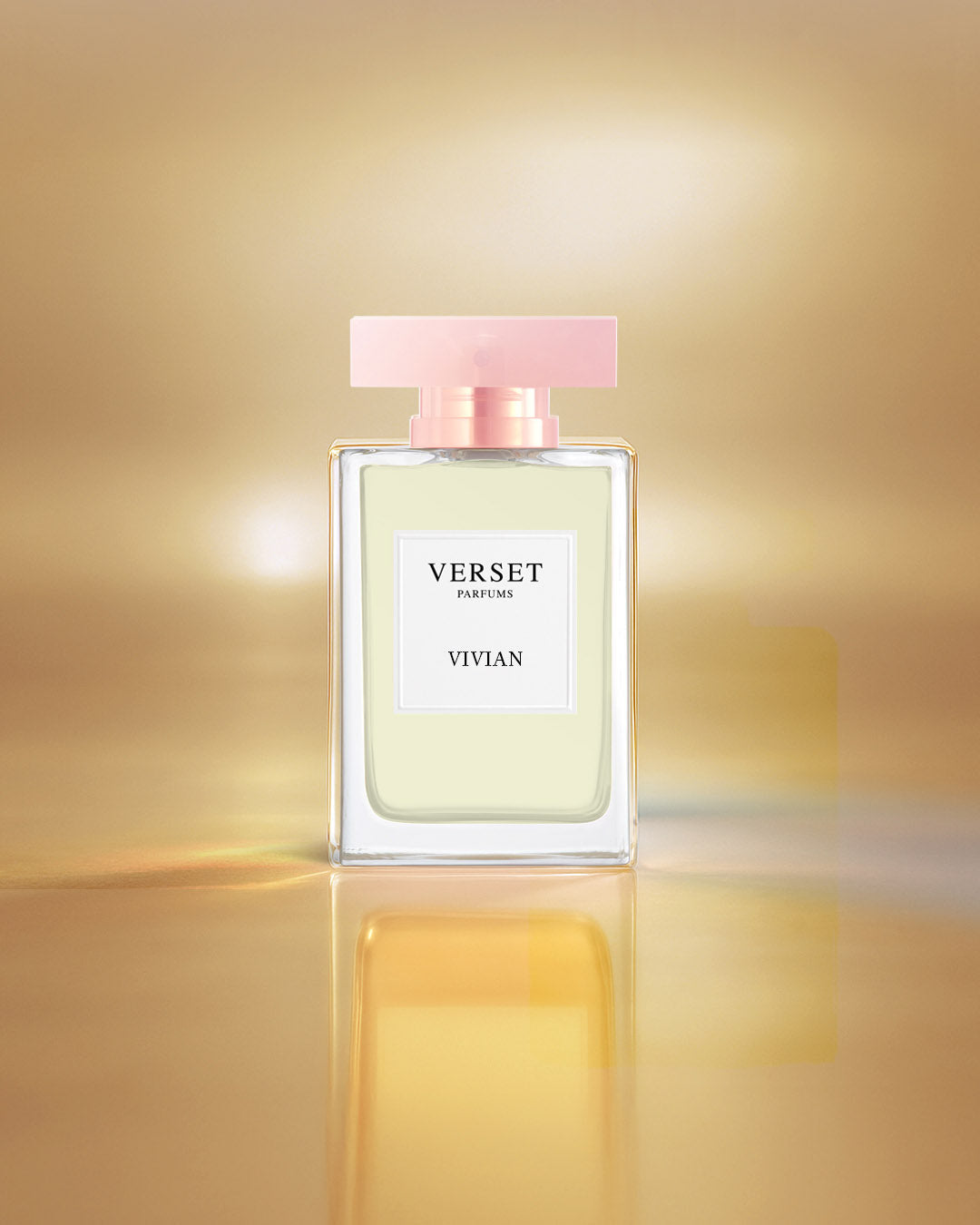 Copy of D_VVF16-VIV100.jpg