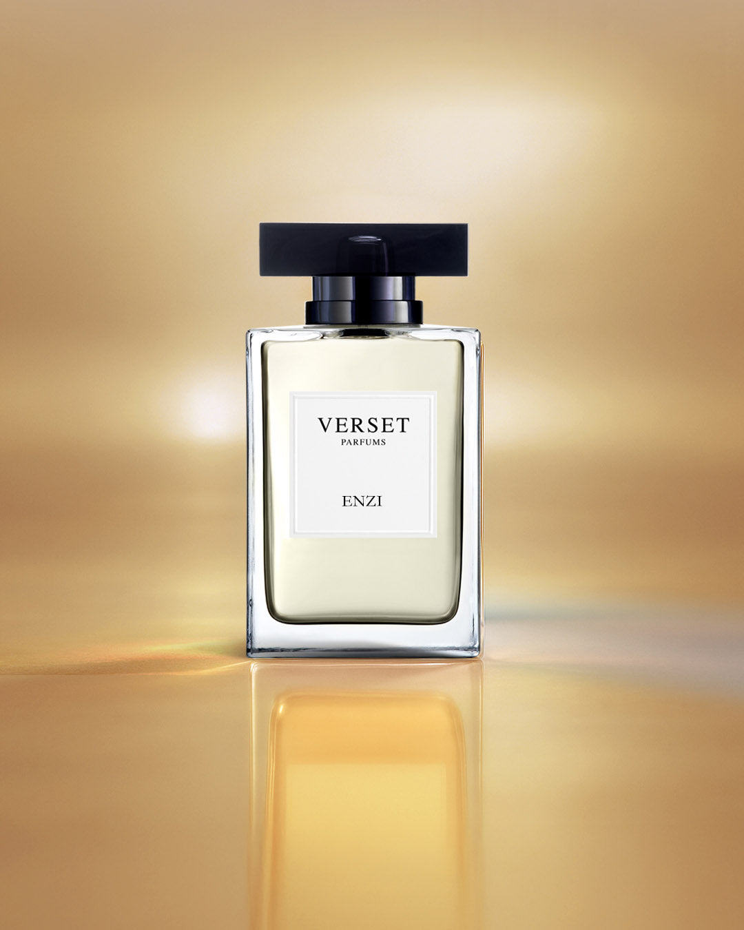 Copy of D_VVH16-ENZ100.jpg