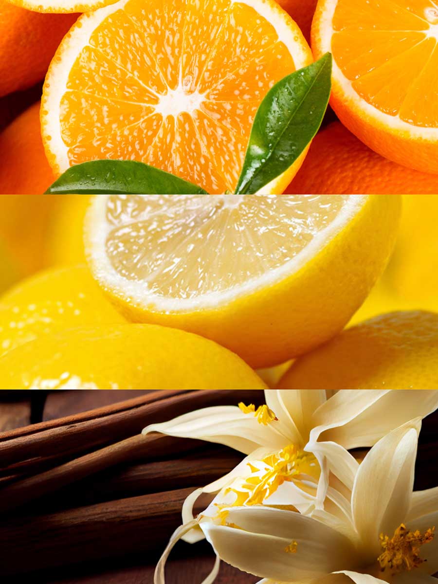 Copy of C_VVH16-CEN100.jpg