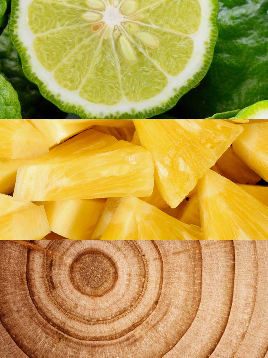 Copy of C_VVH16-CHO100.jpg