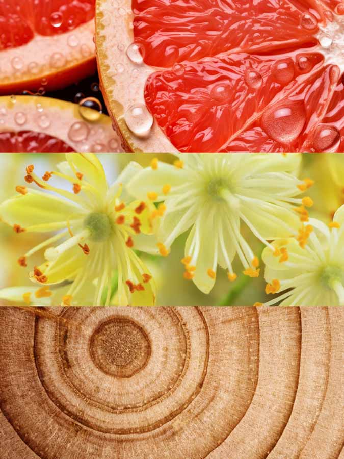 Copy of C_VVH16-CUE100.jpg