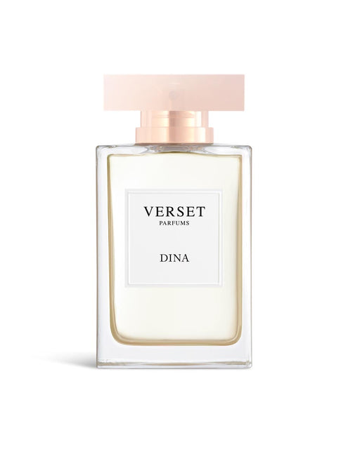 Copy of A_VVF20-DIN100.jpg