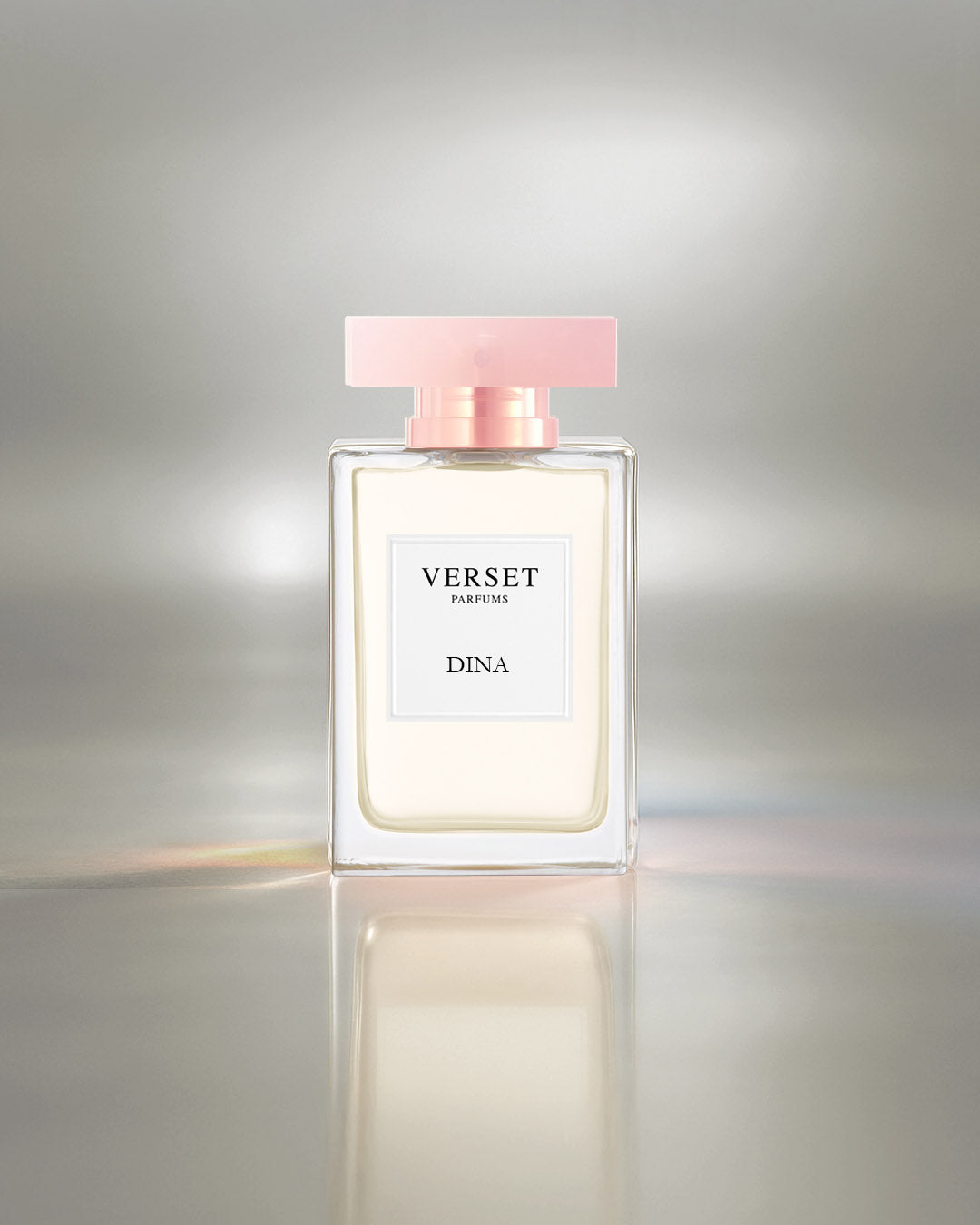 Copy of D_VVF20-DIN100.jpg