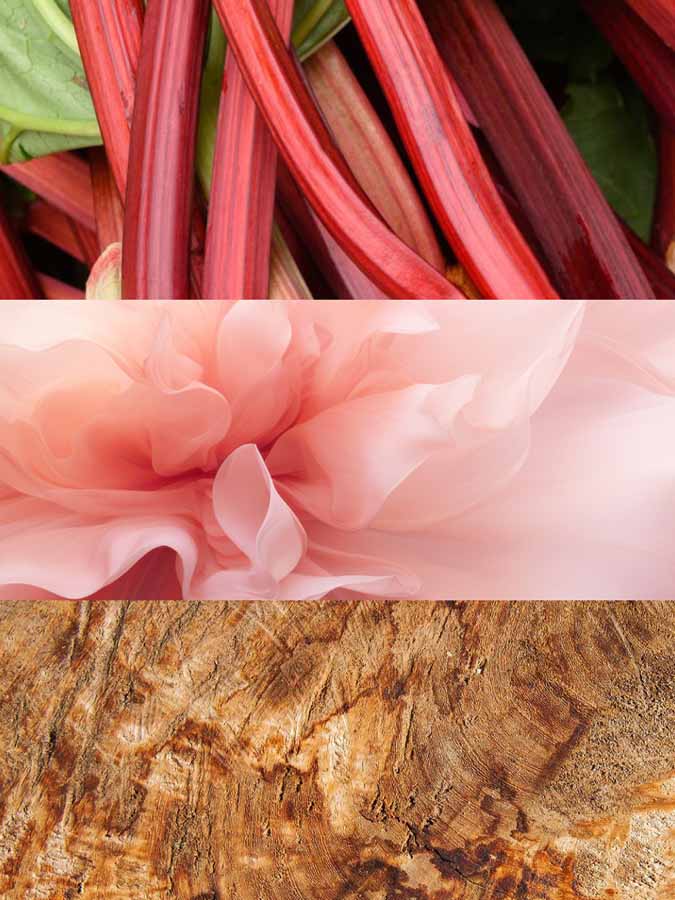 Copy of C_VVF16-NEL100.jpg